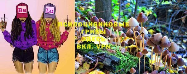марки lsd Тайга