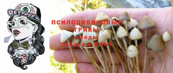 apvp Белоозёрский